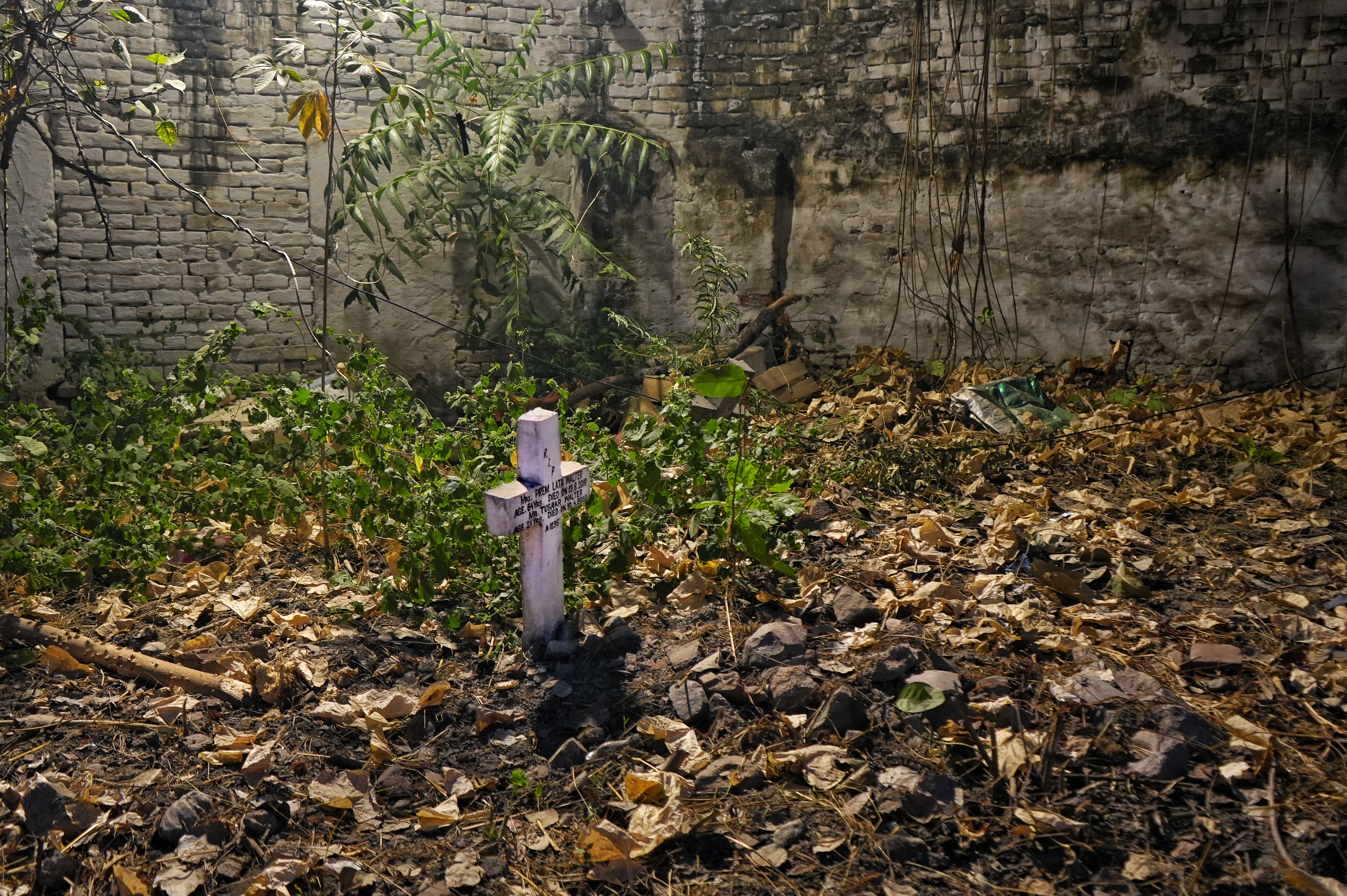 All Souls Day